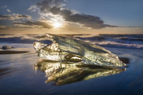 IJsland winterreis ©Bart Heirweg