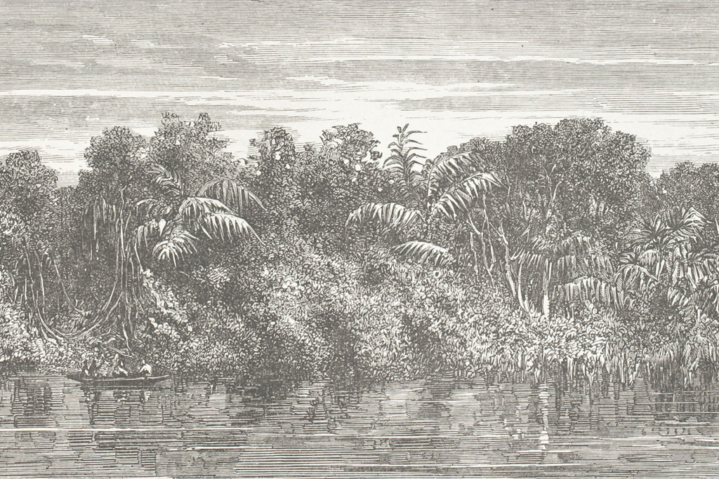 River's Edge