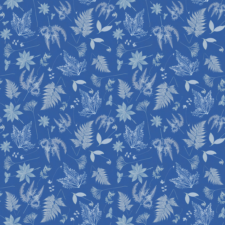 Anna Atkins - The Botanist