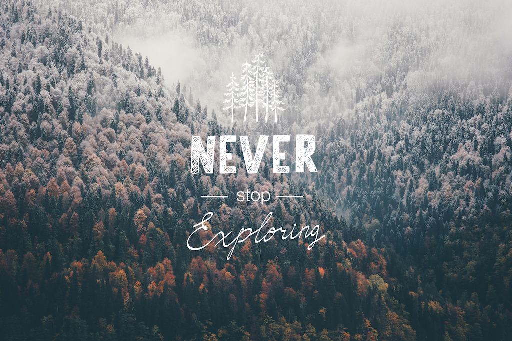 Never Stop