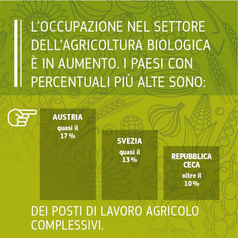Fonti: Commissione europea 2016, Facts and figures on organic agriculture in the European Union: https://ec.europa.eu/agriculture/organic/sites/orgfarming/files/docs/pages/014_en.pdf. <br/>Commissione europea 2017, elaborazione dei dati Eurostat da parte della DG ENV.<br/>IFOAM/FIBL The World of Organic Agriculture. Statistics and Emerging Trends 2017: https://shop.fibl.org/chen/mwdownloads/download/link/id/785/