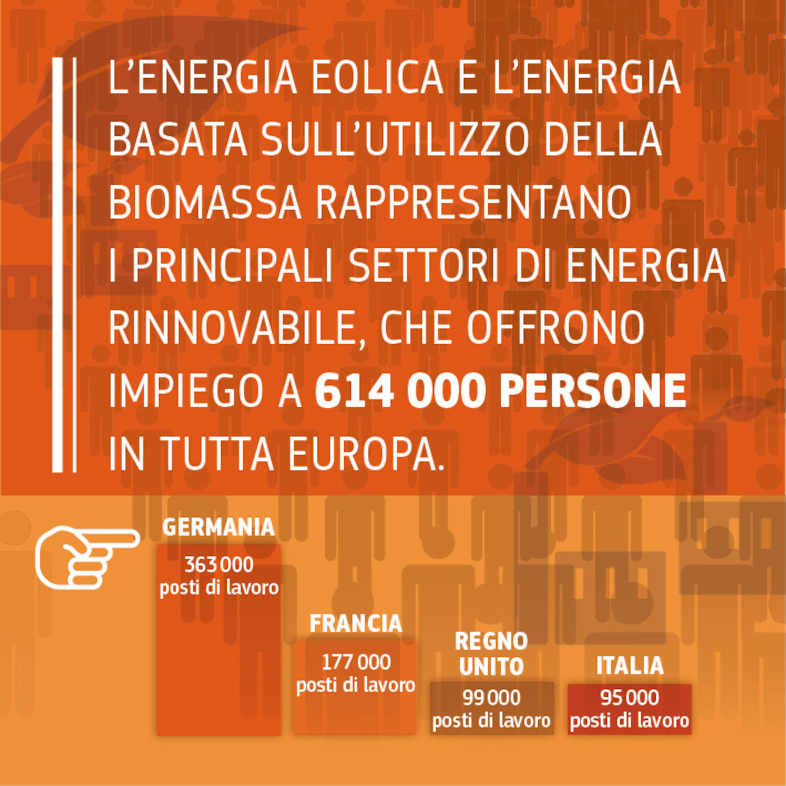 Fonte: https://www.eurobserv-er.org/16th-annual-overview-barometer