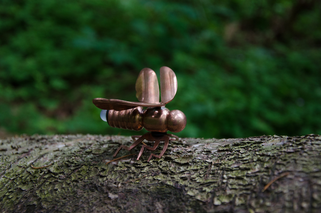 Karice's Little Bugger<br/>Photo: Karice