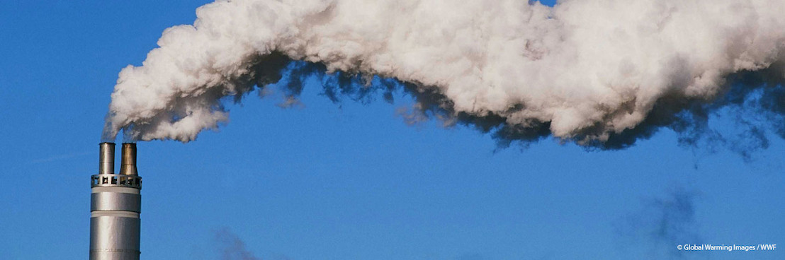 Belgische banken investeren nog steeds 40 miljard euro in fossiele energie, zegt klimaatcoalitie