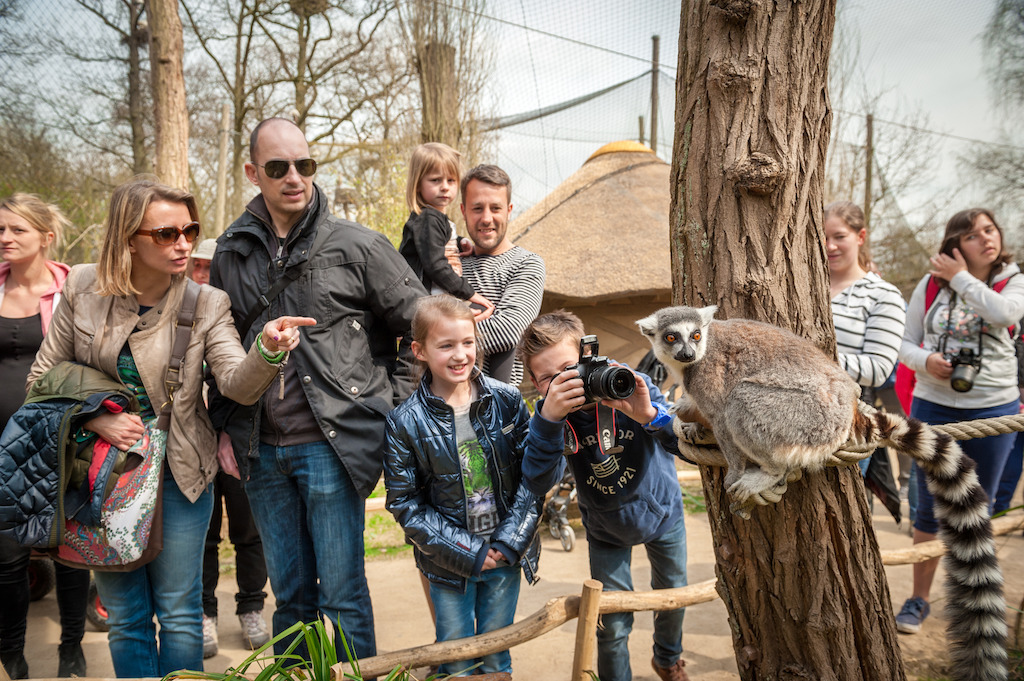 Copyright foto's: Zoo Antwerpen en Planckendael