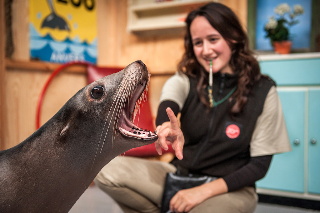 Copyright foto's: Zoo Antwerpen en Planckendael