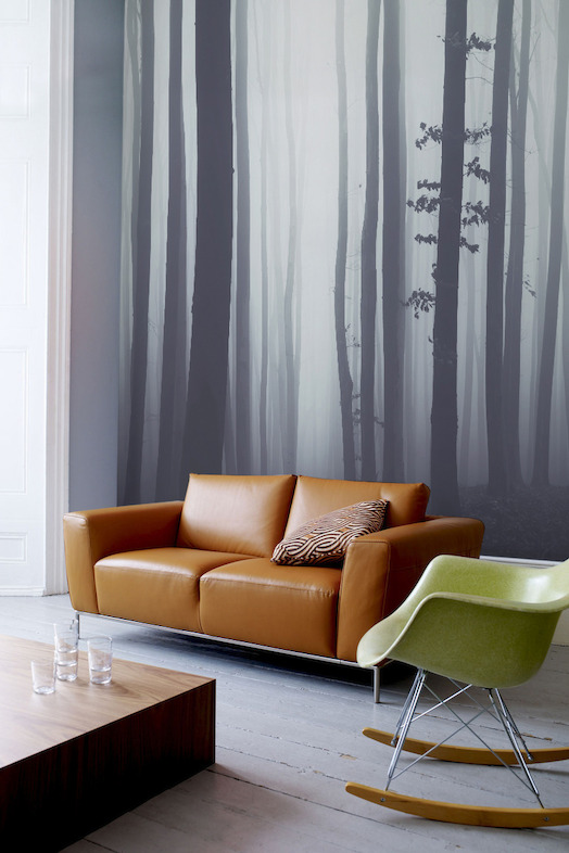 Forest Wallpaper Mural