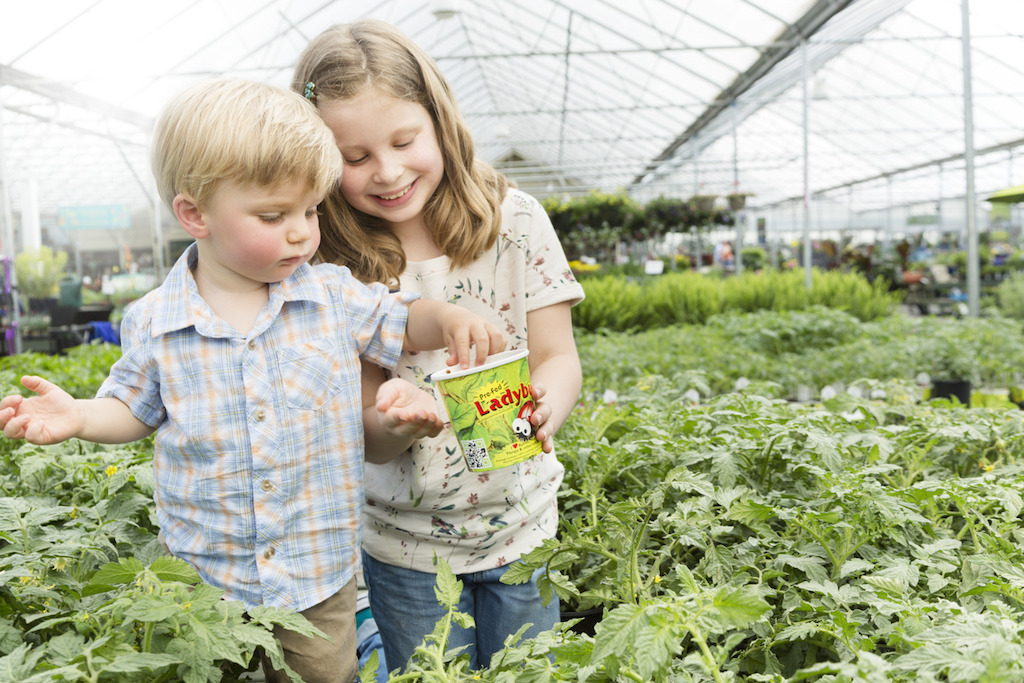 Children with Ladybugs (photo credit Pike Nurseries)