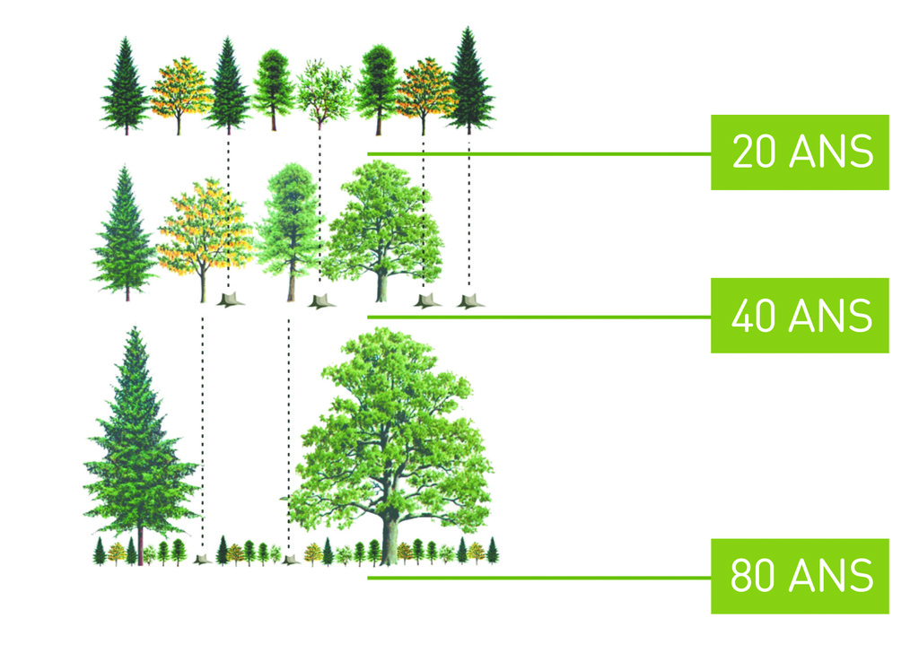 «Commune Forêt pour tous»