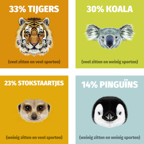 Preview: Van actieve tijger naar slome koala: zittend werk houdt Vlaming aan z’n stoel gekluisterd