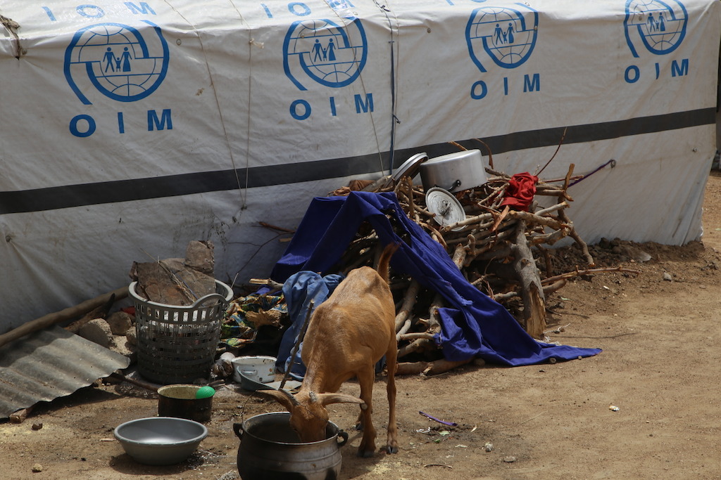 A camp for internally displaced people in the town of Pulka, in the northeastern Nigerian state of Borno. Photographer: Igor Barbero