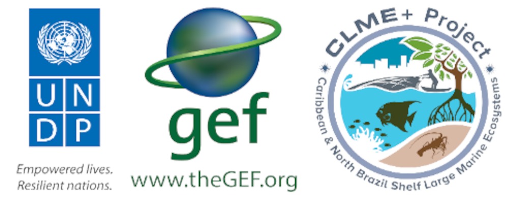 CLME+ logo