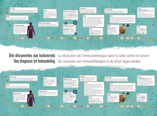 Timeline