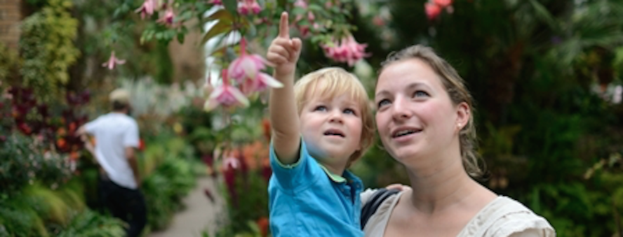Werk in het buitenland als au pair met Jobstop