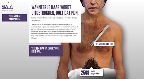 Website