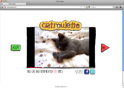 Catroulette 2