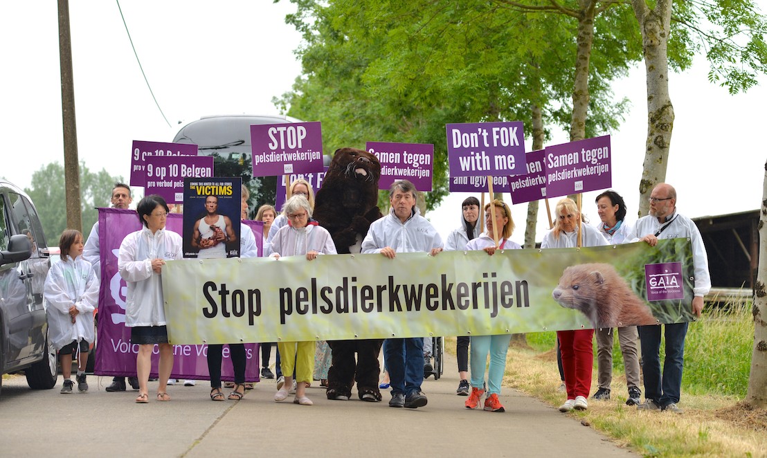 Nertsenfokker Beveren-Waas mag uitbreiden van Joke Schauvliege