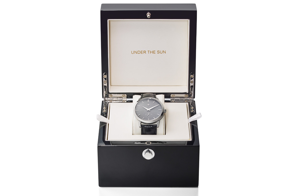 Progeny Stainless - Schist concept dial - 5
