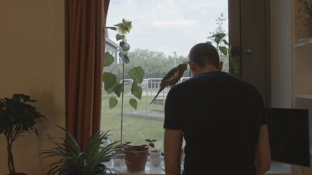 Koppen: Weg van de waanzin<br/>(c) VRT