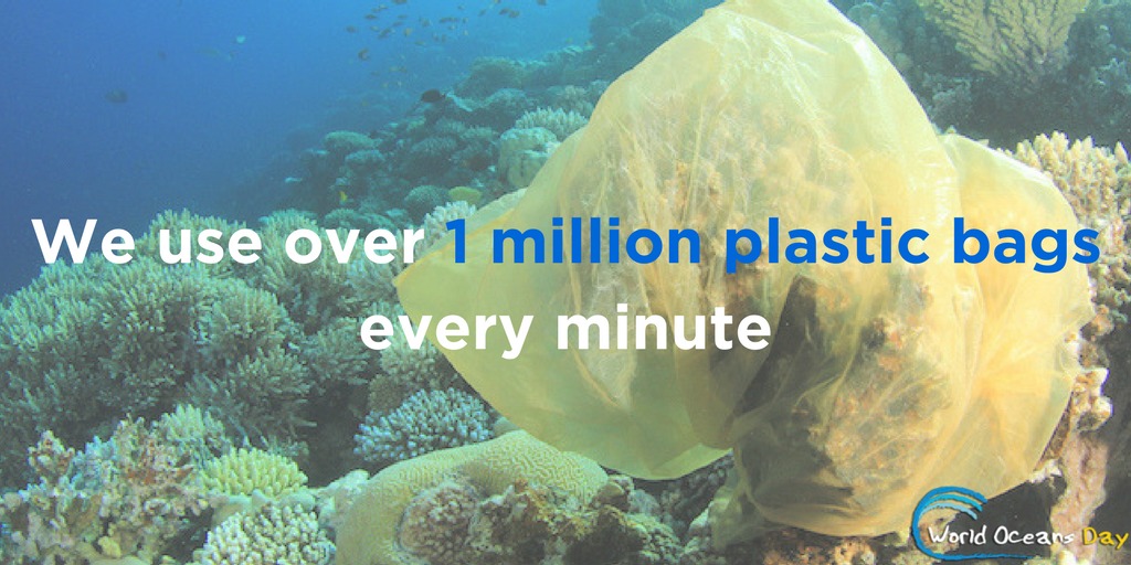 World Oceans Day graphic
