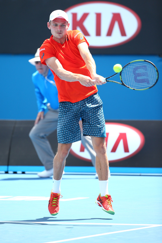 David Goffin