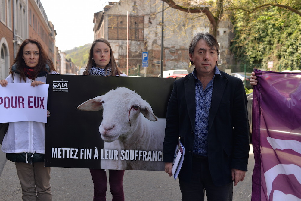 Le vote sur l’abattage sans étourdissement se fera le 5 mai
