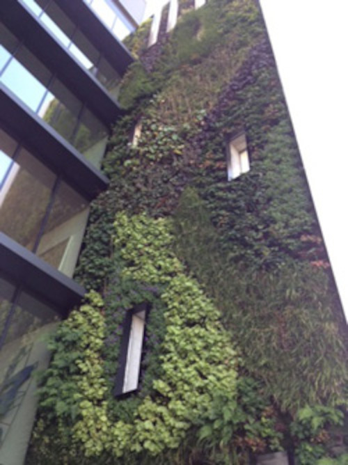 Verticale tuin