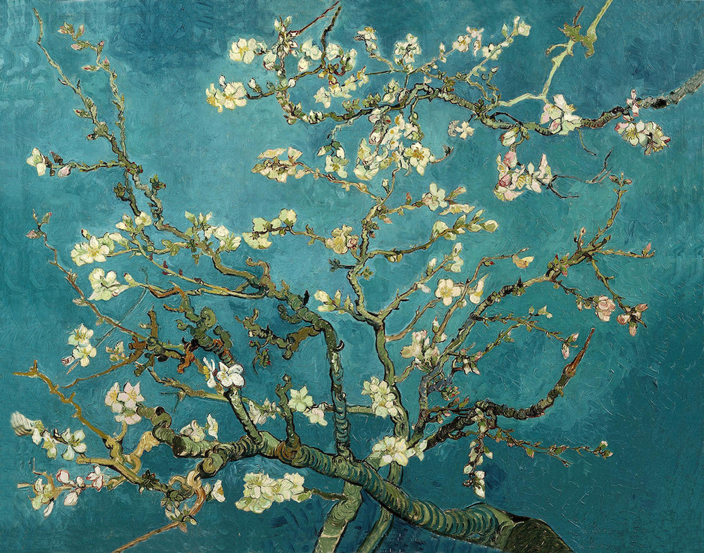 Almond Branches by Van Gogh