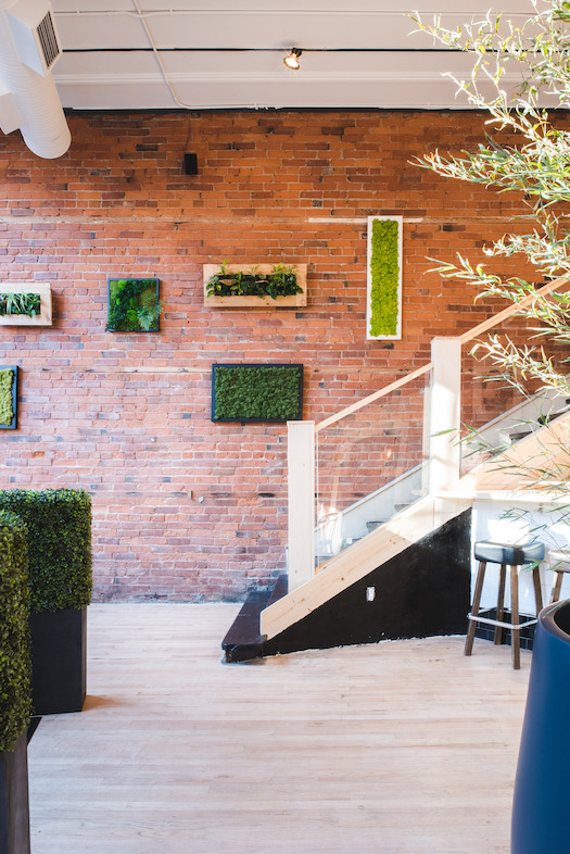 'ONO Raw Bar | Kalu Interiors<br/>Julie Row Photography