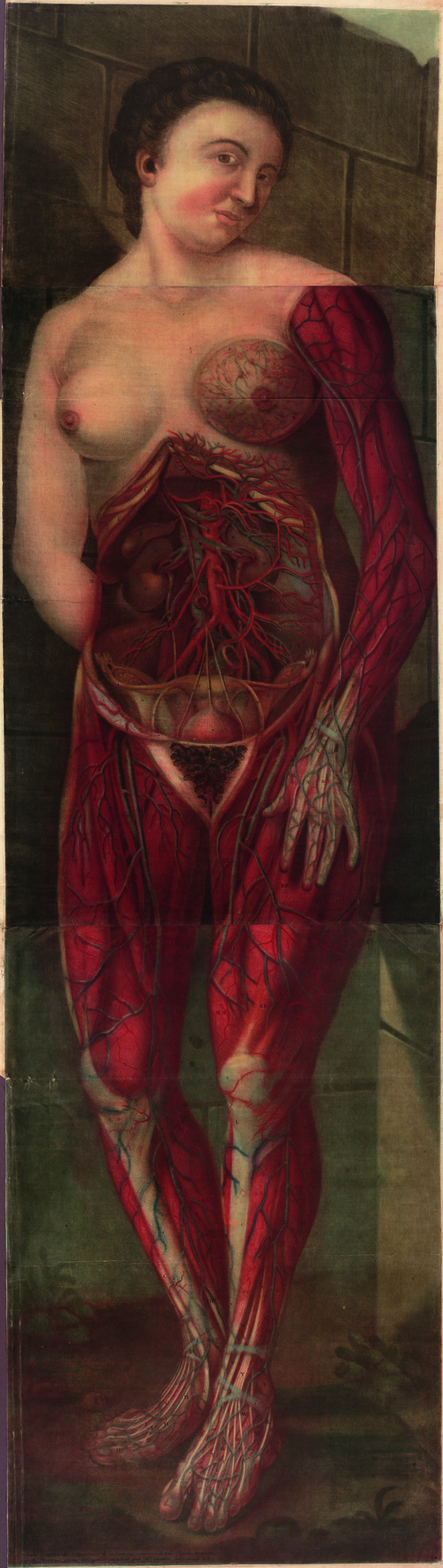 Jacques-Fabian Gautier d’Agoty, Myologie complette en couleur et grandeur naturelle, composée de l’essai et de la suite de l’essai d’anatomie en tableaux imprimés. A Paris, chez le sieur Gautier, seul graveur privilégié du Roy, ruë Saint Honoré, au coin de la rue Saint Nicaise