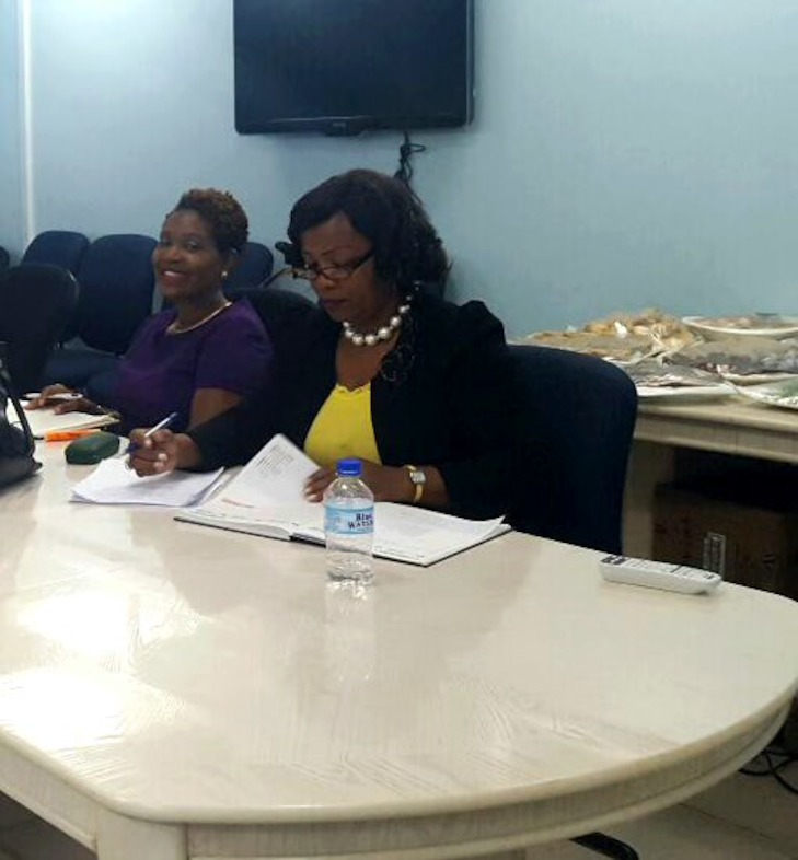 Multi-stakeholder consultation in progress.