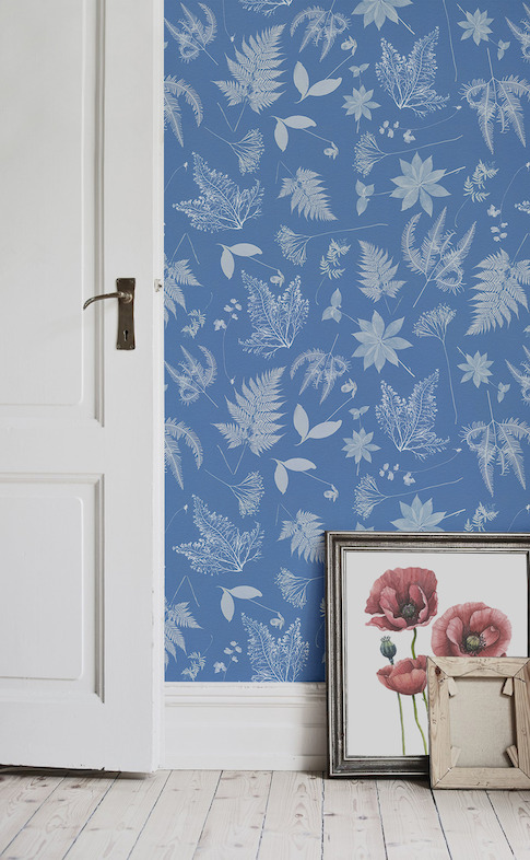 Anna Atkins - The Botanist