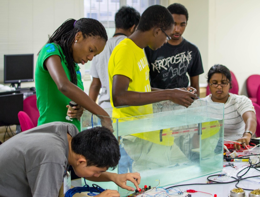 Caribbean Science and Engineering Graduates: Globally Among the Best
