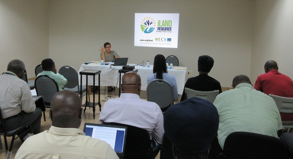 OECS Building Code Consultation