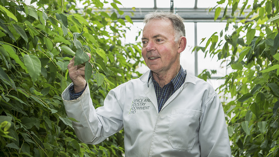ANU scientist Graham Farquhar first Australian to win Kyoto Prize