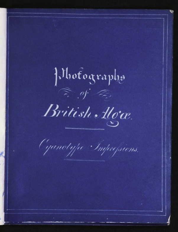 Photographs of British Algae: Cyanotype Impressions (1843)