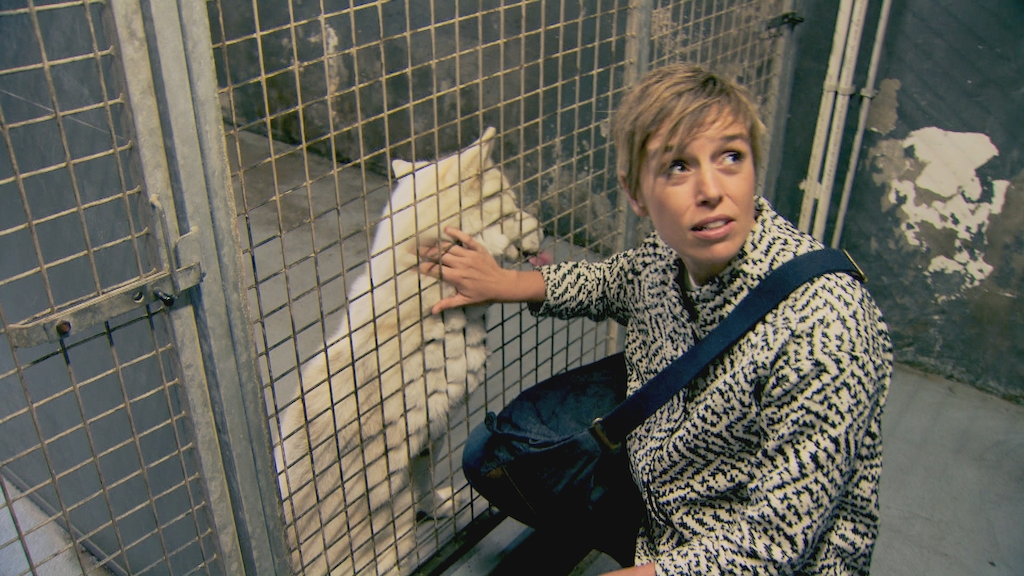 Voor hetzelfde geld- Wat kost een goede hond? (c)VRT