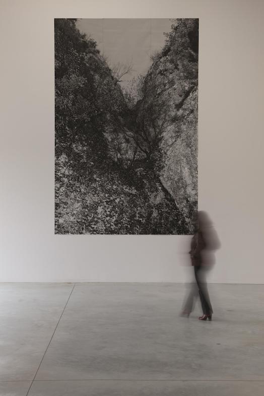 Dirk Braeckman, F.E.L.S. #1, 2010<br/>© M – Museum Leuven / Photo: Dirk Pauwels, 2011