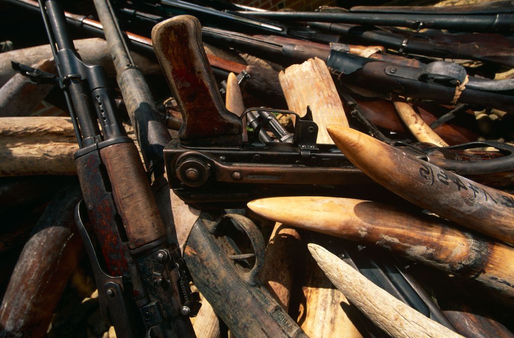 Armes saisies