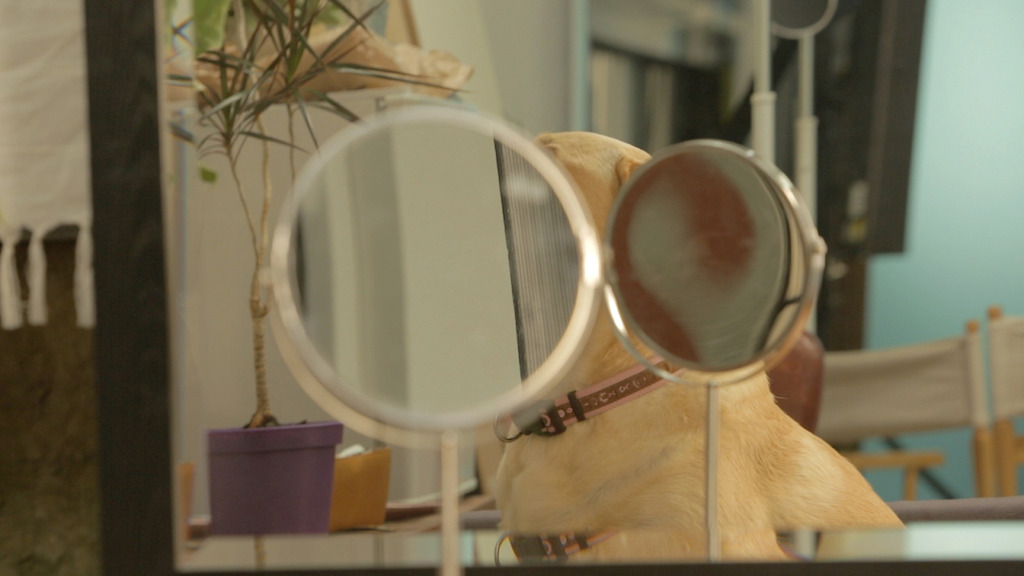 Video / Black Box 17.02 - 27.02: Jenny Brady - Bone