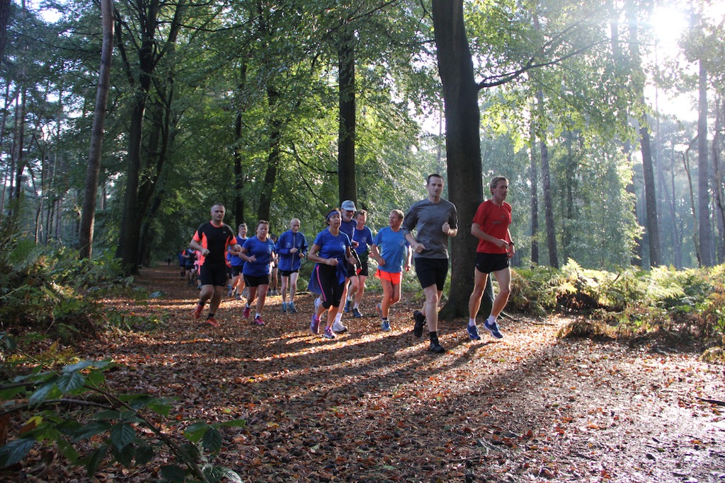 Week van het Bos 2016 (c)Regine Van Allemeersch