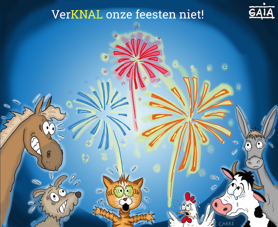 Al 30 klachten over vuurwerk bij GAIA-meldpunt