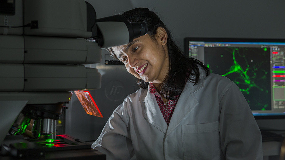 ANU researchers build brain-on-a-chip