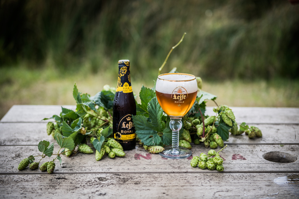 Leffe Royale Ella with Ella hops coming home in Bushy Park