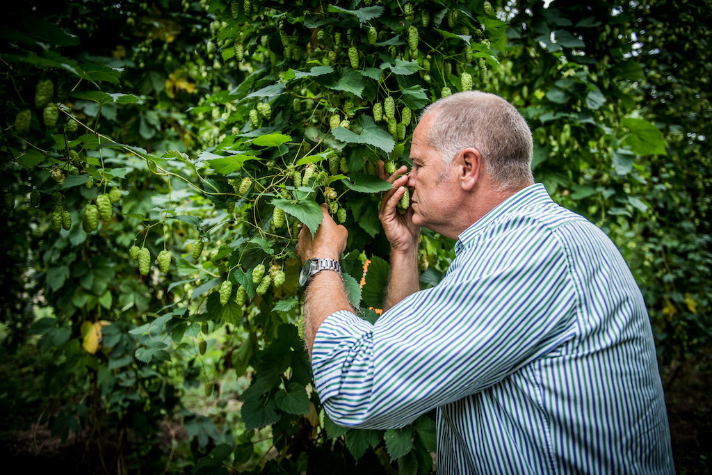 Tim Lord, hop farmer Hop Products Australia