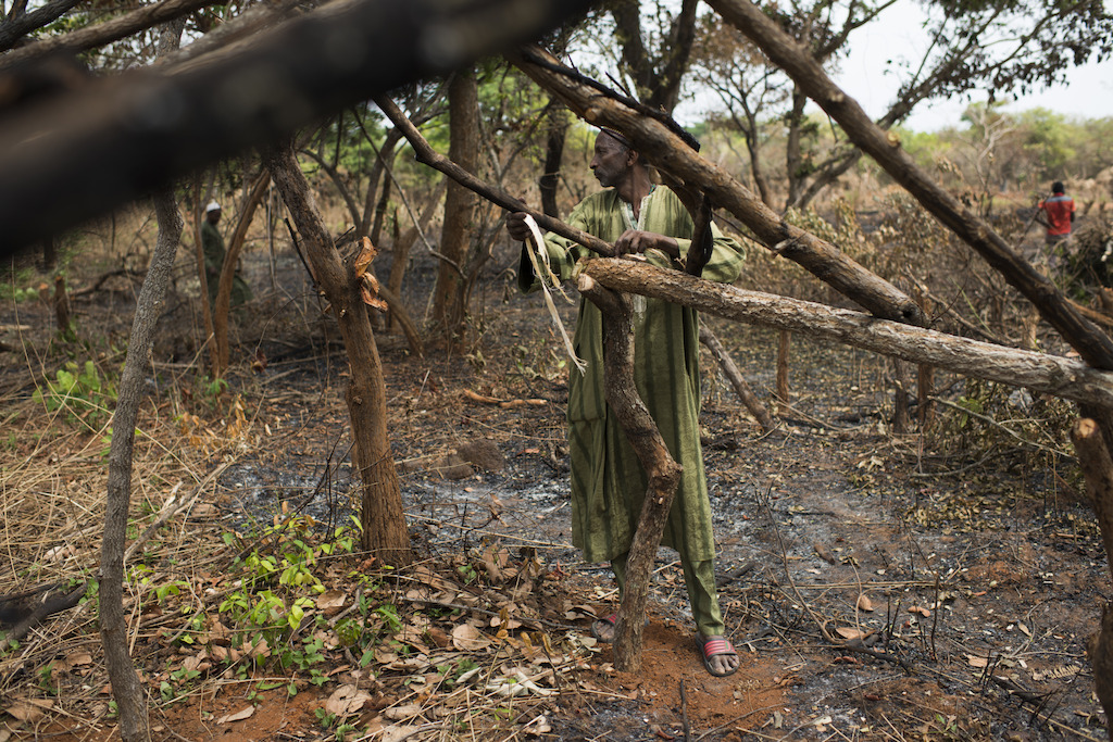 Credit Colin Delfosse. Abdou, who lived in Ippy. The fight between the UPC and FPRC (supported by self-defence militias) was intense. “Militias don’t want any Fulanis (Peuhls) in villages between Ippy and Bria. We spent more than 10 days in the bush before getting to Maloum. "