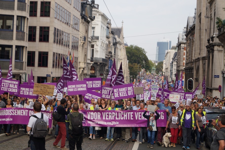 GAIA: “Wij stappen naar de rechtbank”