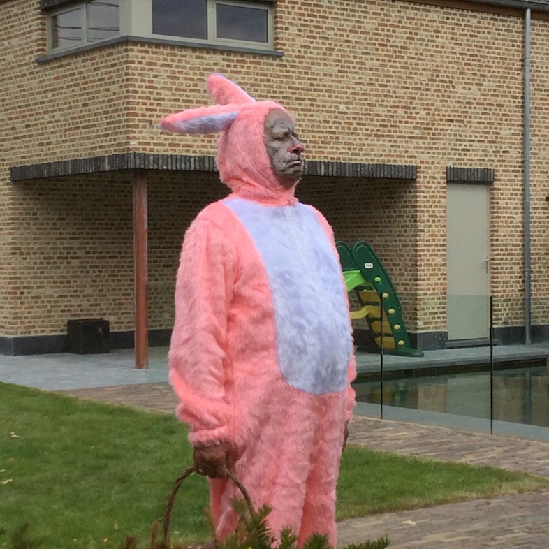 Loslopend wild & gevogelte (c) VRT