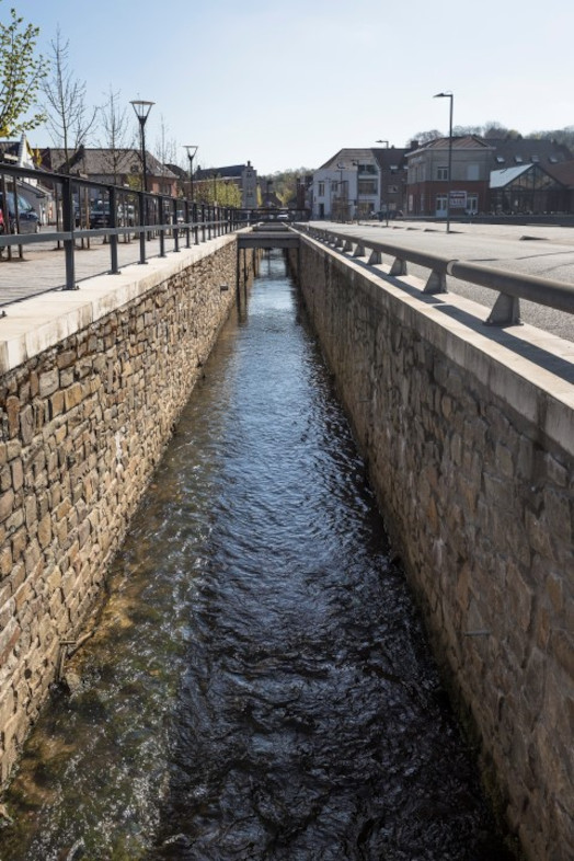 Door het hoge percentage verharde oppervlakte en de toenemende hevige buien is Vlaanderen extra kwetsbaar voor overstromingen. Ruimte geven aan water is daarom een belangrijke uitdaging voor de toekomst. In een hemelwaterplan op maat van de gemeente werden maatregelen opgenomen om toekomstige volumes regenwater te laten infiltreren, bufferen of vertraagd af te voeren. Een gebiedsingenieur van Aquafin neemt je mee en onderweg ontdek je welke maatregelen Overijse treft om wateroverlast in de toekomst te vermijden. Je komt langs enkele uitgevoerde en geplande werken opgenomen in het hemelwaterplan van deze gemeente. Je zal merken dat deze maatregelen perfect in het openbaar domein geïntegreerd worden en bovendien een meerwaarde bieden voor de omgeving.