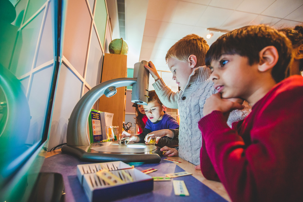 The Classroom (Courtesy of The Magic House®)